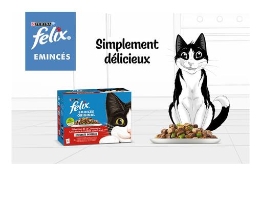 FELIX® C'est si bon d'être un chat – Jour de pluie 