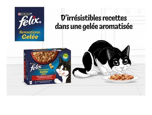 Felix Nourriture humide pour chat Sensations en gelée et mix de variétés  Variété de saveurs du pays