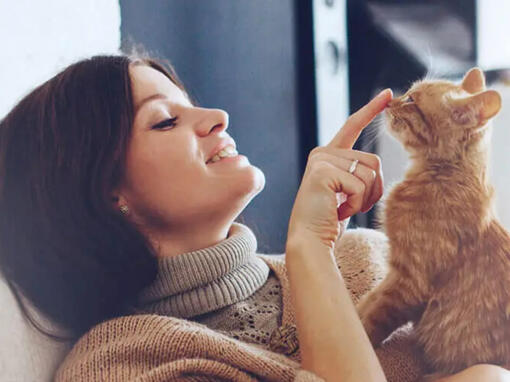 Femme touchant le nez du chat roux