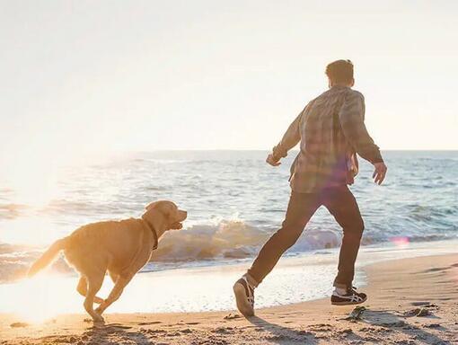 Homme et chien qui court sur la plage