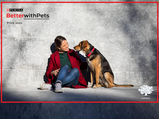 Mieux avec les animaux de compagnie prix femme assise avec un chien