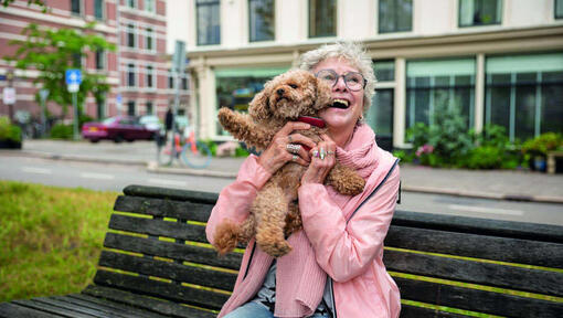 Dame soulevant un chien sur un banc de parc