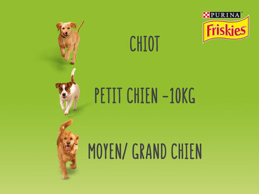 Alimentation complète FRISKIES®
