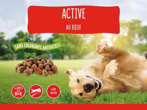 FRISKIES® ACTIVE pour chiens adultes
