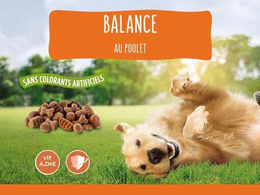 FRISKIES® BALANCE pour chiens adultes
