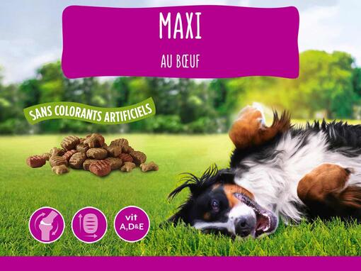 FRISKIES® MAXI pour chiens adultes