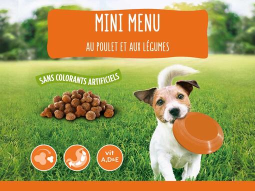 FRISKIES® MINI pour petits chiens adultes