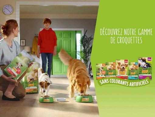 Une gamme de croquettes