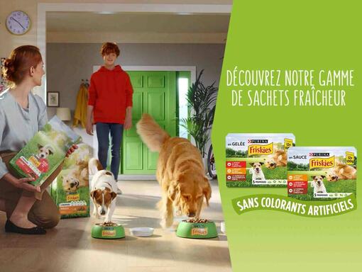 Nos sachets fraîcheur