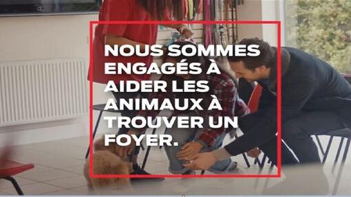 Notre soutien au programme SPA Adoption Solidaire