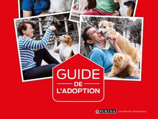 Le Guide Purina® de l’adoption responsable