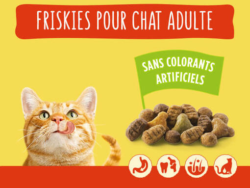 FRISKIES® croquettes pour chat adulte