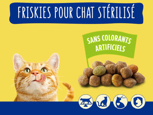 FRISKIES® croquettes pour chat stérilisé​