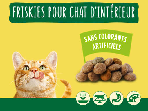 FRISKIES® croquettes pour chat d’intérieur