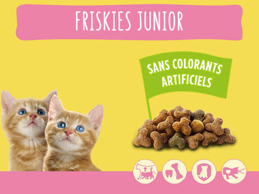 FRISKIES® croquettes pour chaton​