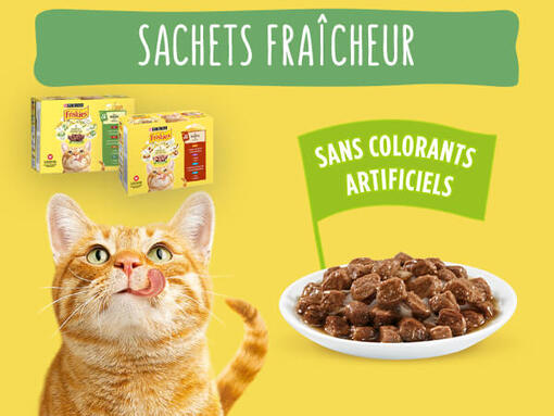 FRISKIES® Sachets Fraîcheur pour chat​