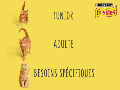 Alimentation complète FRISKIES® chat