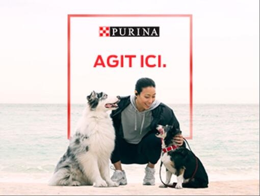 Purina Agit Ici Et La Chien et Femme Innovation Plage