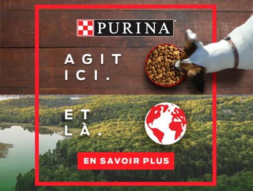 Purina Agit Ici Et La Planete Environnement Chien