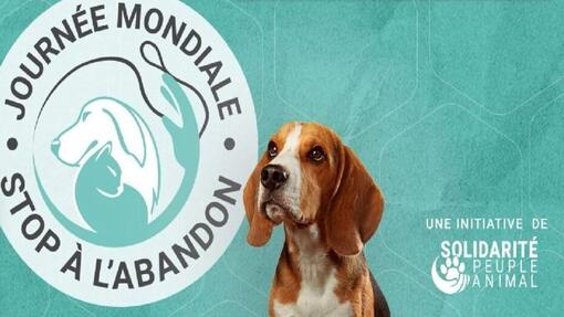 La journée mondiale contre l'abandon des animaux de compagnie