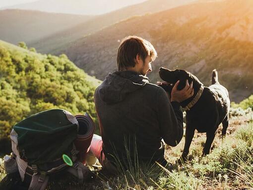 Un homme avec un chien dans les montagnes