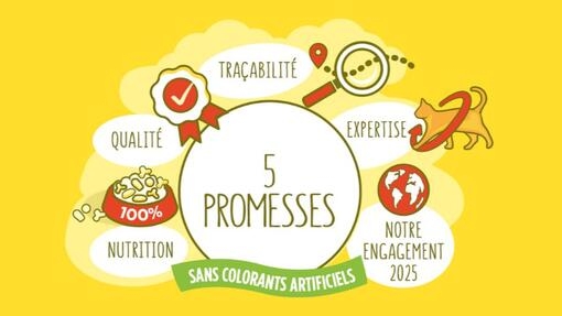 Les 5 promesses de Friskies chat