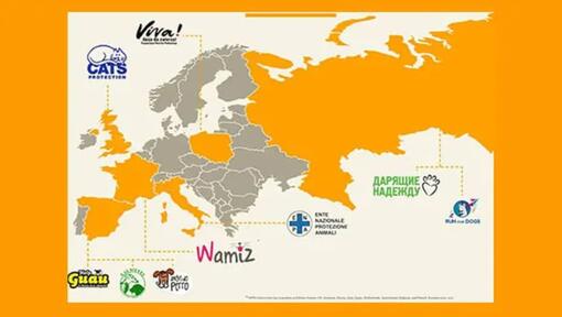 Carte européenne avec les associations caritatives d'adoption