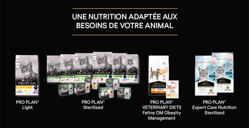 Produits chat