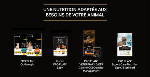 Produits chien