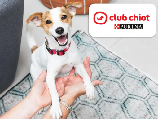 Logo de chiot en croissance et Jack Russell