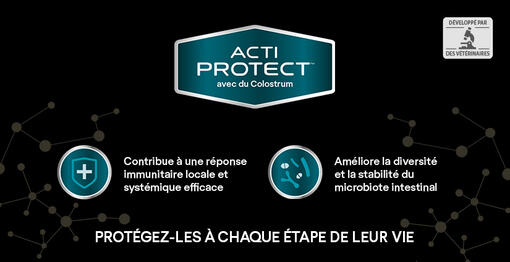 Acti Proctect Immunitaire Intestins