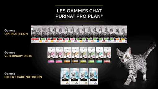 GAMMES DE PRODUITS PRO PLAN CHAT​