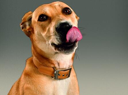 C’est vous qui le dites