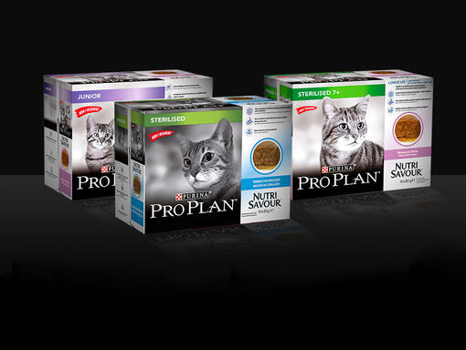 Mobile Pro Plan Nutrisavour Mousse