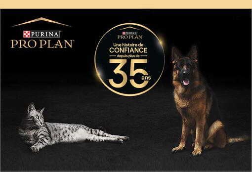 PRO PLAN PLUS DE 35 ANS