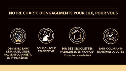 engagements pro plan