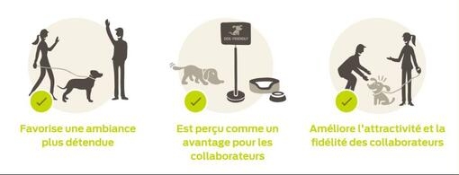 Animaux au travail infographie