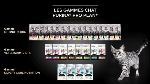 GAMMES DE PRODUITS PRO PLAN CHAT