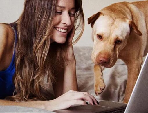 Une femme regarde un ordinateur portable avec son chien