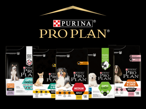 Pro Plan Chien