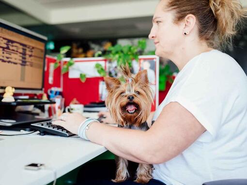 femme avec chien au bureau