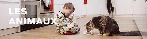 enfant nourrissant un chat tigré dans la cuisine