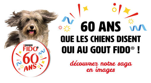 60 ans que les chiens disent oui au goût FIDO