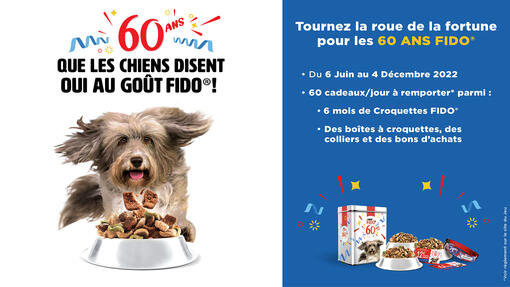 Jeu 60 ans FIDO