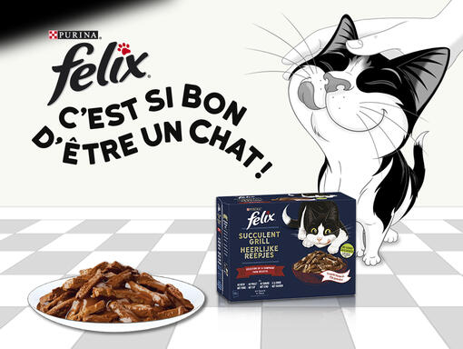 C'est si bon d'être un chat ! Succulent grill