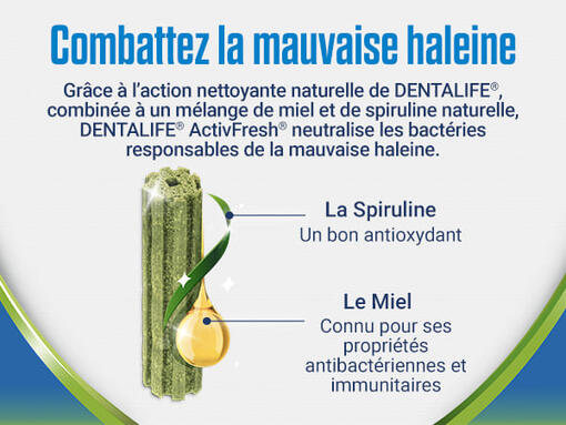 DENTALIFE® ActivFresh®