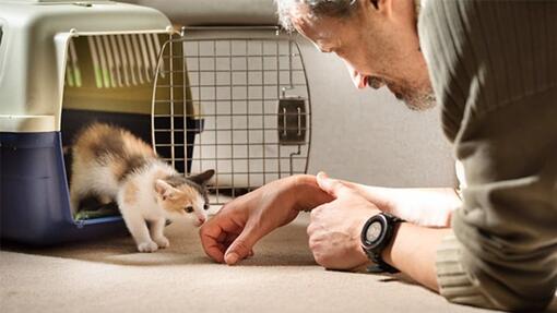 Un homme avec un chat