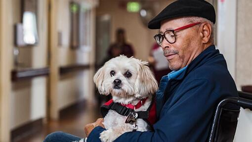 vieil homme avec un chien