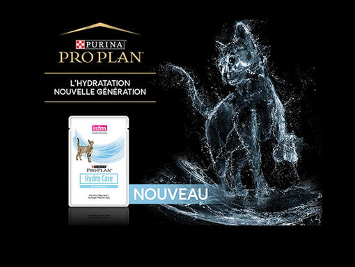 Découvrez Pro Plan Hydracare