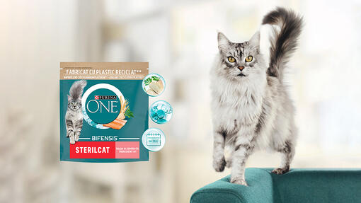 Purina One